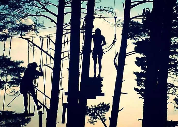 Centro De Ocio Luis Miguel Hostel *